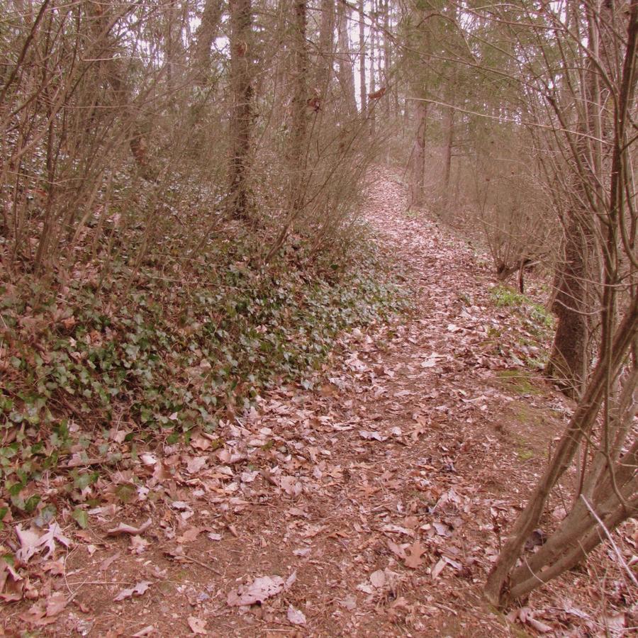 Red Leaf River Inn Waynesville Dış mekan fotoğraf