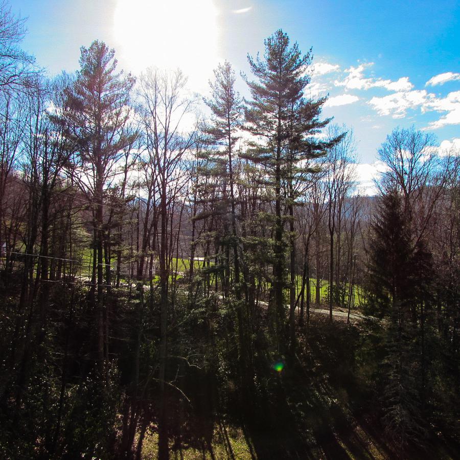 Red Leaf River Inn Waynesville Dış mekan fotoğraf